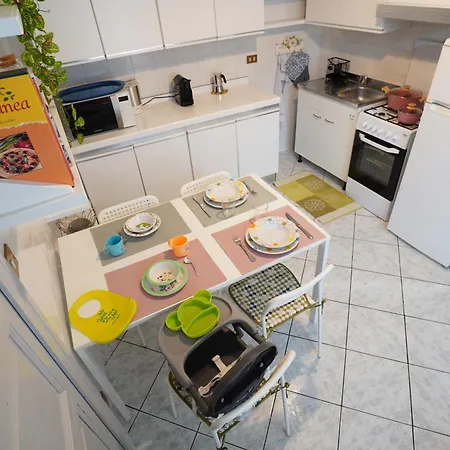 Teddy Bear Apartment