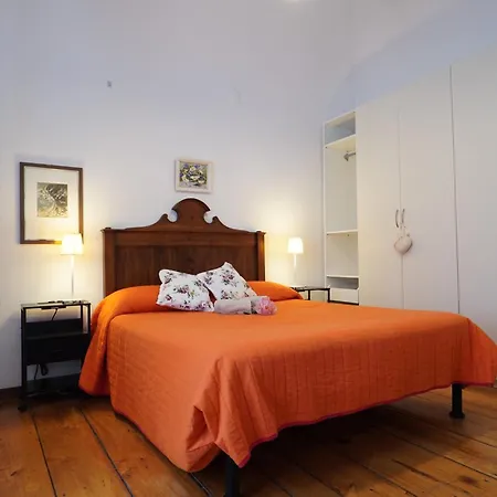 Apartment Teddy Bear *