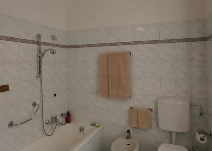 Apartment Teddy Bear *